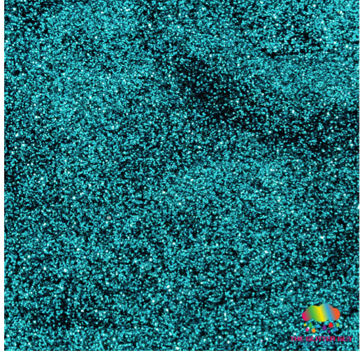 The Glitter Guy Bottlenose Glitter